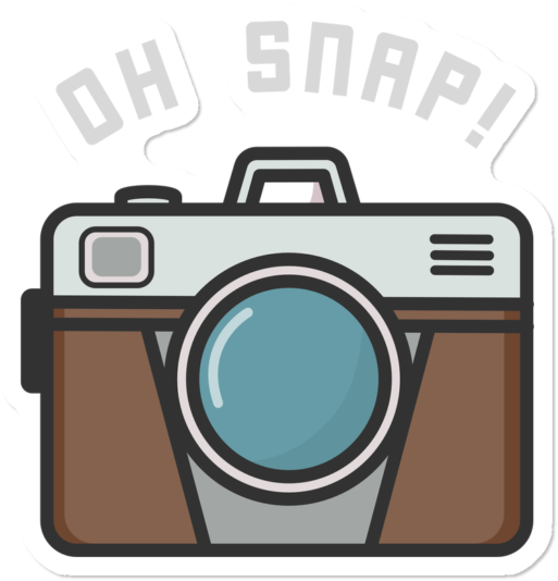 Funny Photography Pun - Softball Decal Clipart (650x650), Png Download