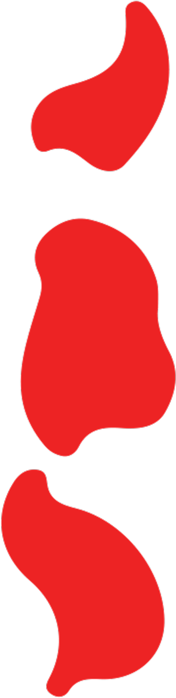 Touch The Shapes To Hear The Sounds Clipart (570x2800), Png Download