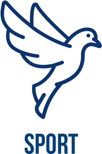 400 Ml Energy Oil - Illustration Clipart (591x591), Png Download