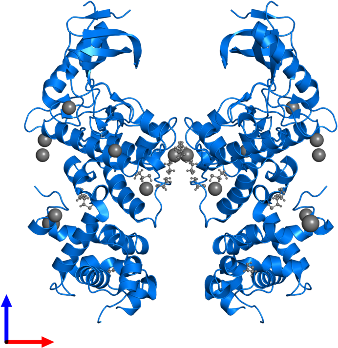 <div Class='caption-body'>pdb Entry 5hgi Contains 2 Clipart (800x800), Png Download