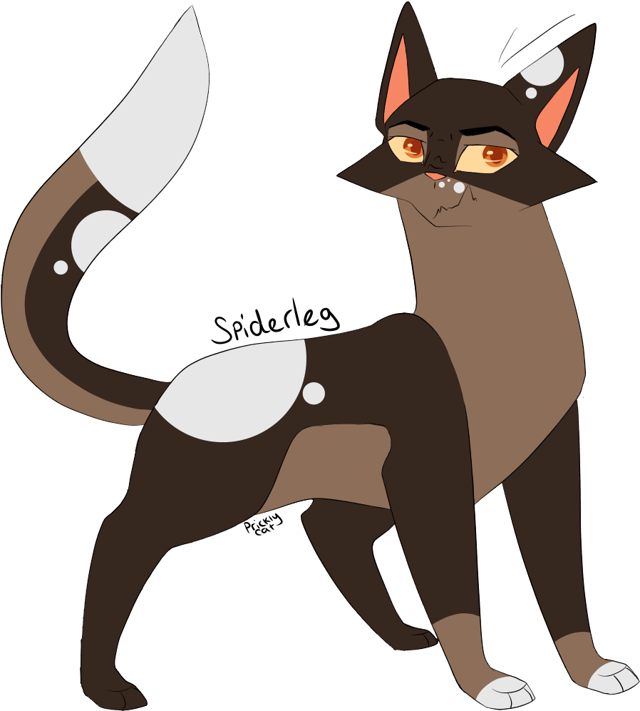 Spiderleg Cat Design, Warrior Cats, Warriors, Military - Cartoon Clipart (1000x1000), Png Download