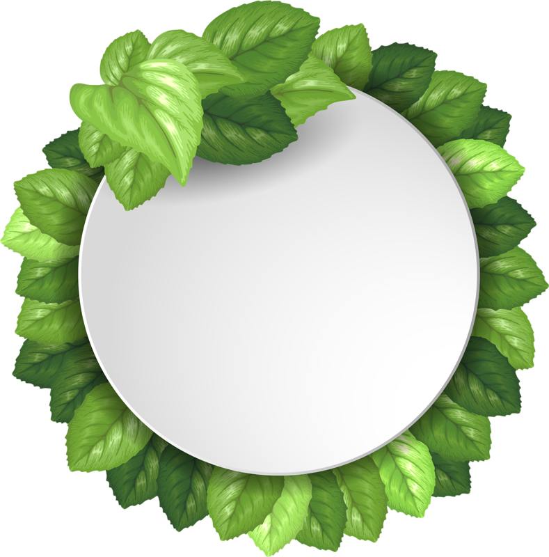 Фото, Автор Soloveika На Яндекс - Green Circle Banner Clipart (789x800), Png Download