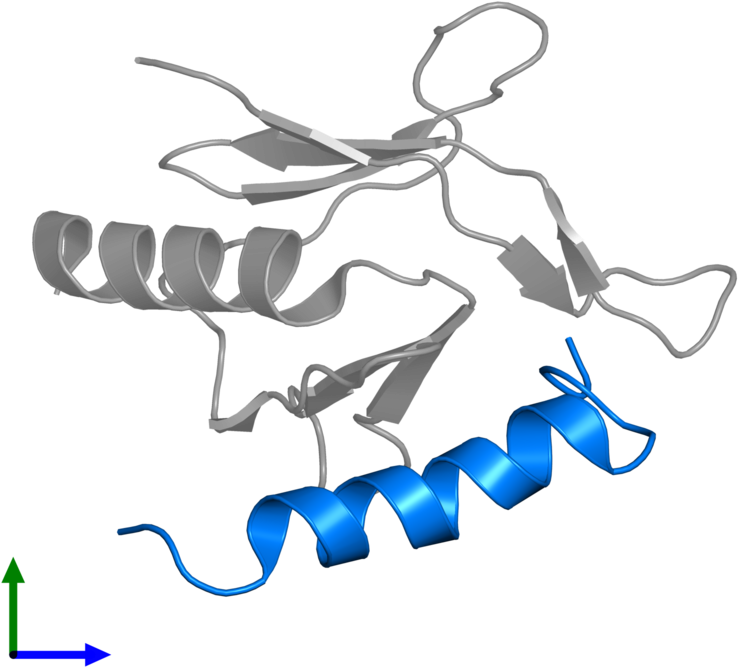 <div Class='caption-body'>pdb Entry 2mwn Contains 1 - Illustration Clipart (800x800), Png Download