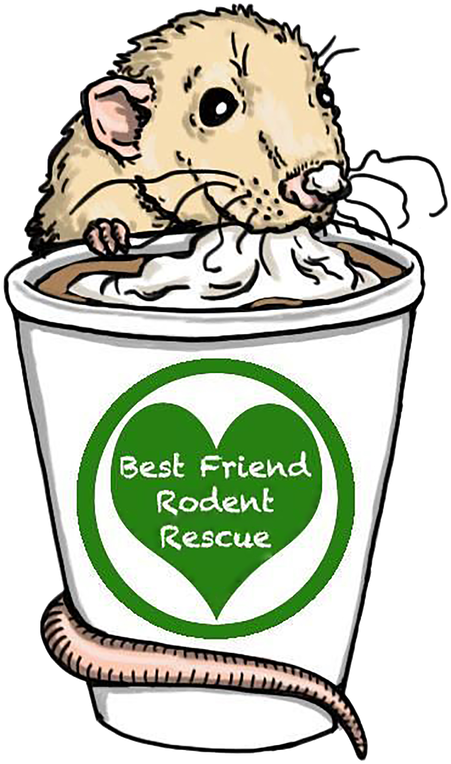 Best Friend Rodent Rescue Clipart (481x800), Png Download