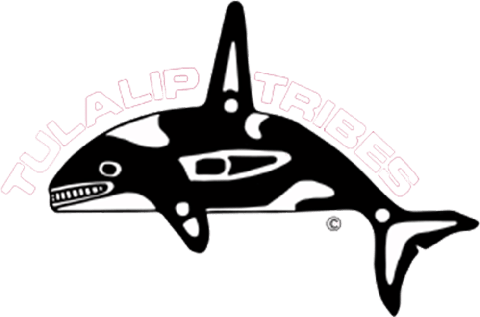 Clients Innovision Marketing Group The Anti Agency - Tulalip Tribes Of Washington Clipart (979x647), Png Download