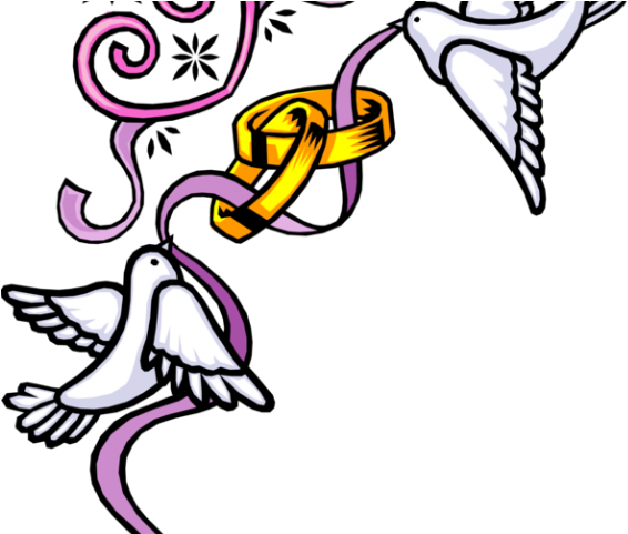 Turtle Dove Clipart Wedding Band - Wedding Invitation Cliparts Png Transparent Png (640x480), Png Download