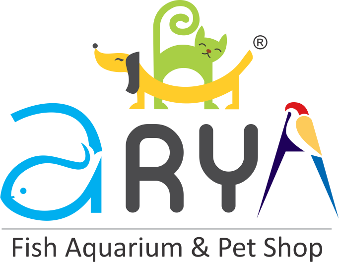 Arya Fish Aquarium & Pet Shop, Thane, Mumbai, Navi Clipart (683x528), Png Download