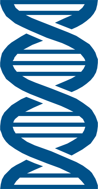 Agile Analytics Big Data Machine Learning Use Ⓒ - Lifescience Icon Clipart (414x795), Png Download