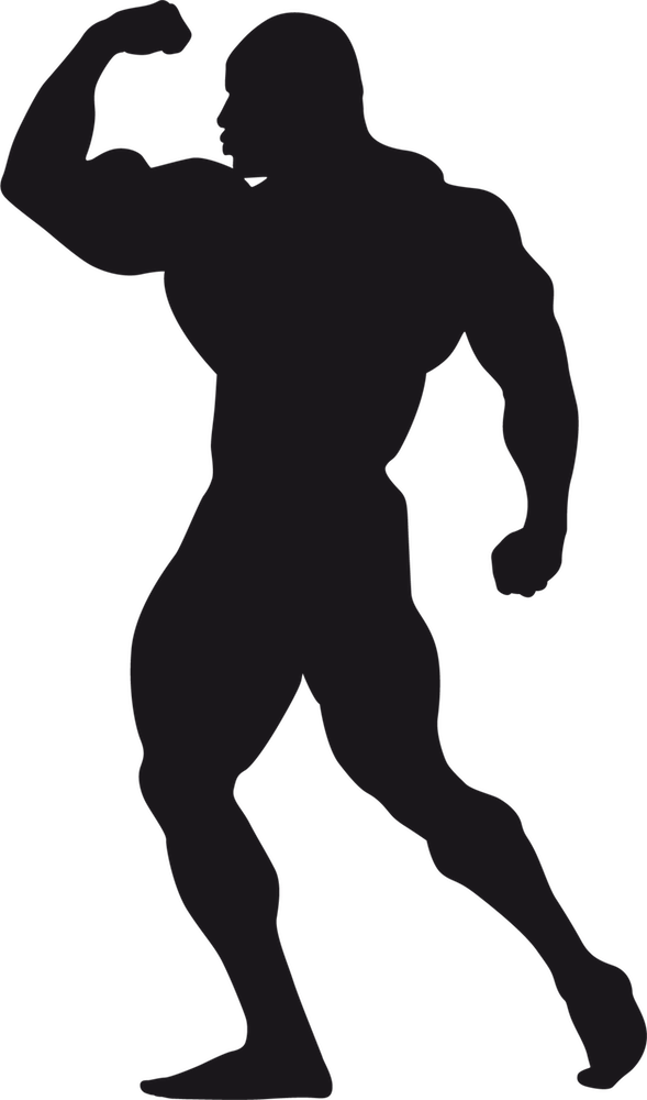 Bodybuilding Stickers Messages Sticker-10 - Silhouette Clipart (589x1000), Png Download