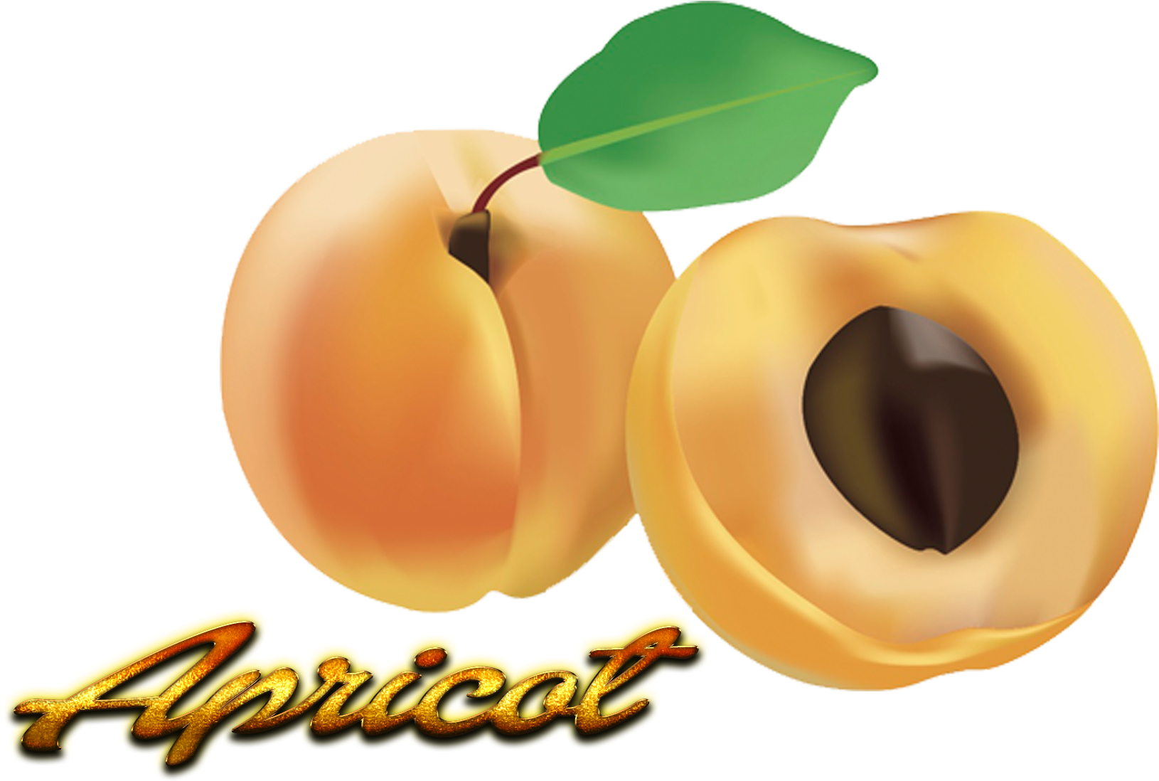 Apricot Png Fruit Clipart Full Size Clipart Pinclipart