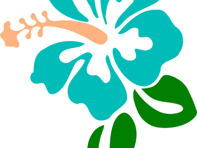 Hibiscus Clipart Blue Hibiscus - Hibiscus Clip Art - Png Download (640x480), Png Download