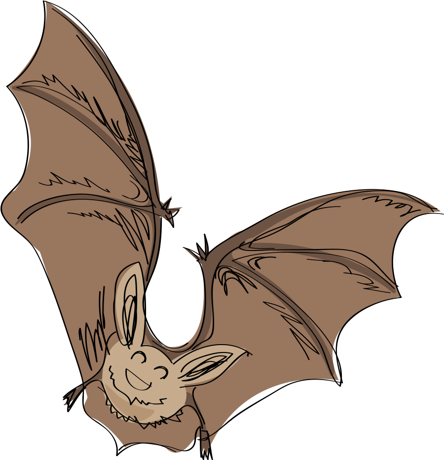 1 - 2 - 3 - - Little Brown Myotis Clipart (1100x1100), Png Download