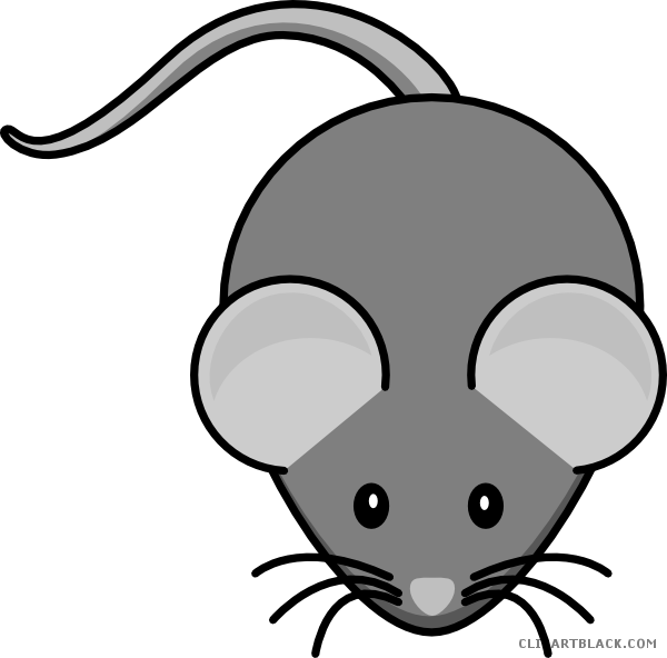Mouse Clipart Animal - Cute Rat Clip Art - Png Download (600x592), Png Download