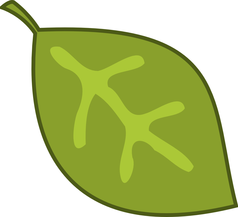 Seaweed Clipart Rainforest Leave - Png Download (999x914), Png Download