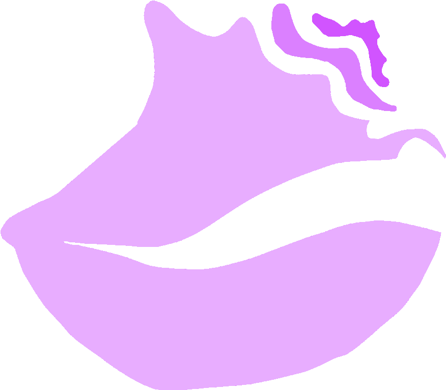 Cropped Conch Logo Fade Clipart (906x780), Png Download