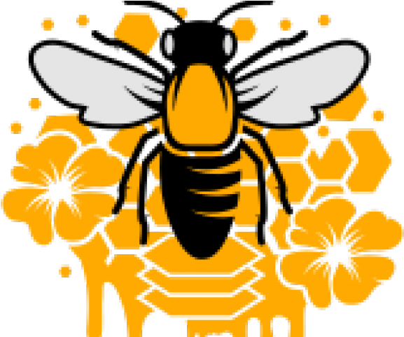 Bee With Crown - Bienenwabe Clipart (640x480), Png Download