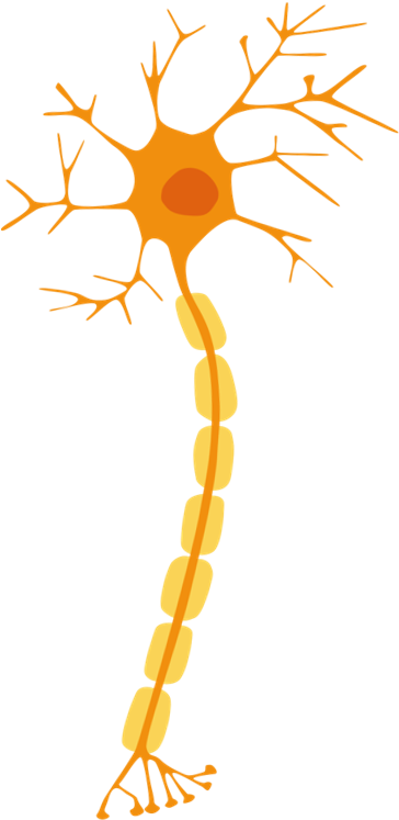 Location Clipart (415x777), Png Download