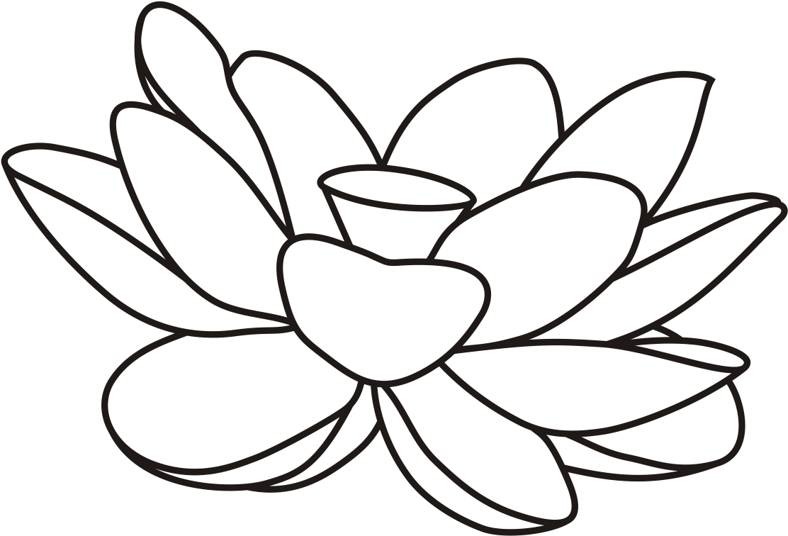 1200 X 1200 5 0 - Lily In Bloom Clipart (1200x1200), Png Download