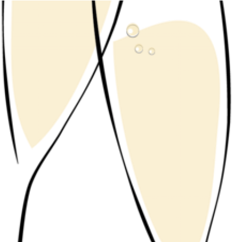 Champagne Clipart Transparent Background - Png Download (640x480), Png Download