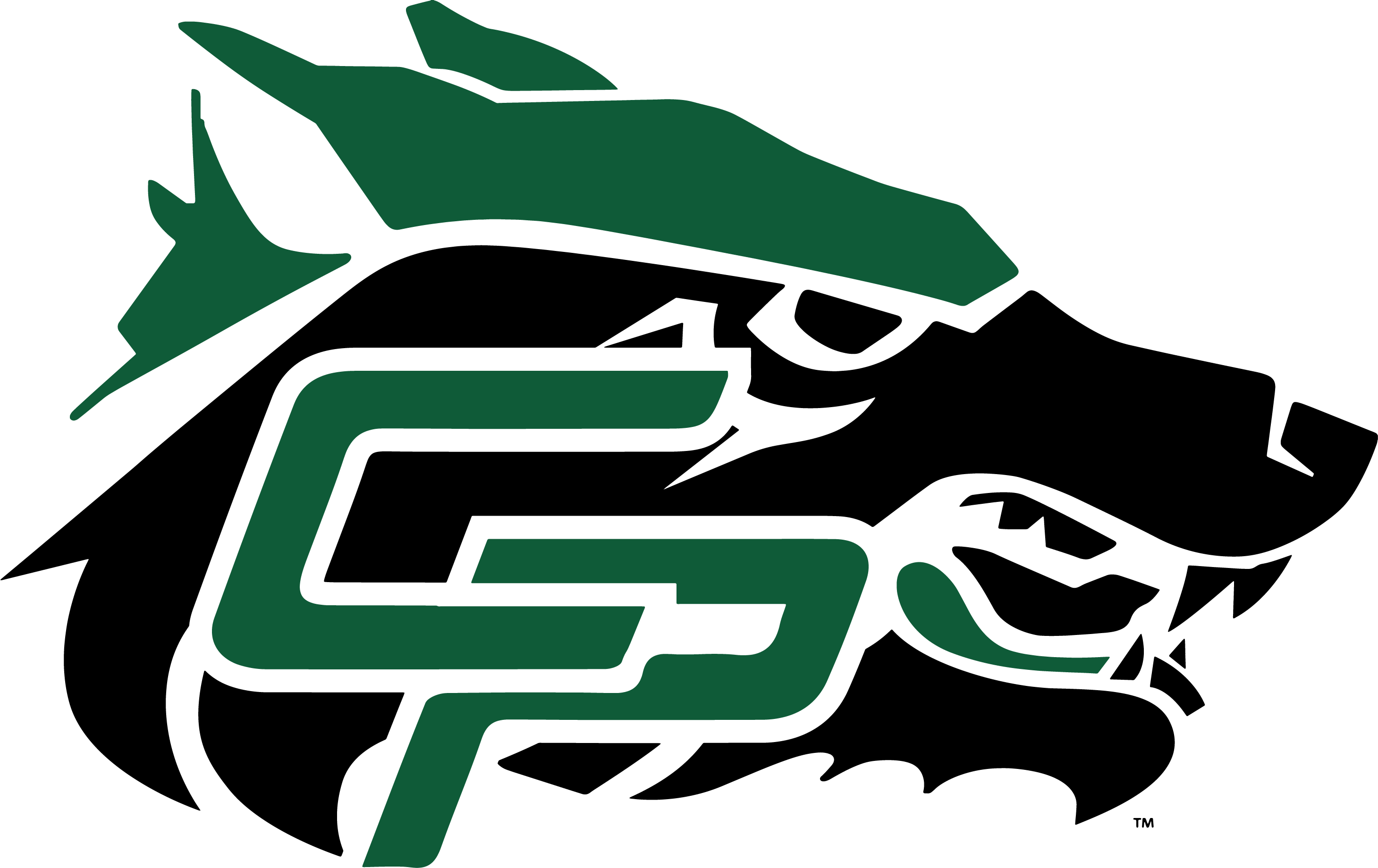 Former Marching Director, Cedar Park Hs, 3 Time State - Cedar Park High School Timberwolves Clipart (2919x1840), Png Download