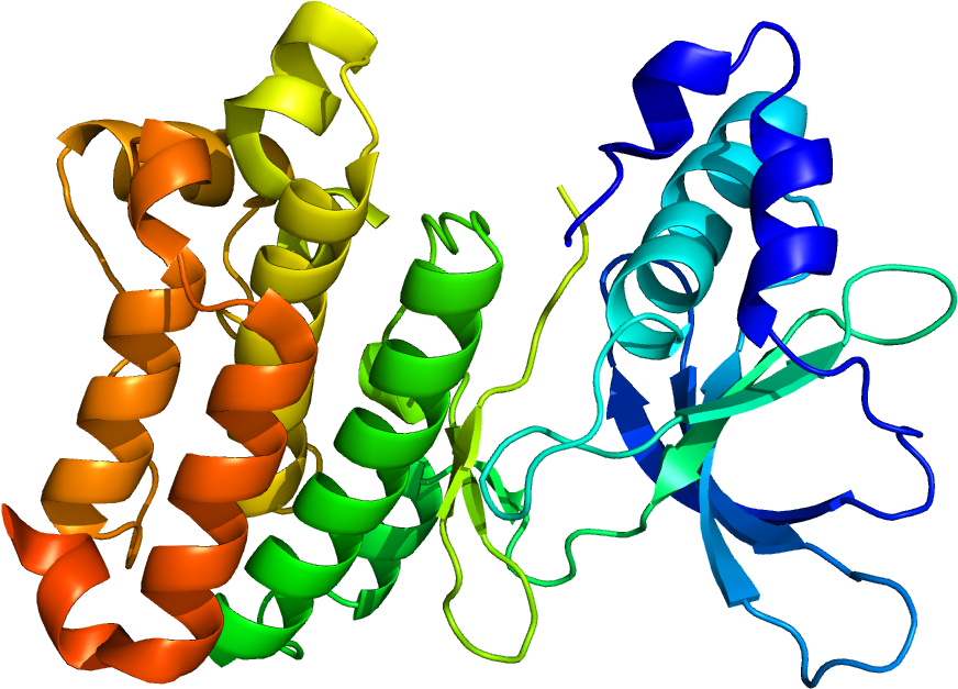 Estrutura Das Proteinas Png Clipart (1200x1000), Png Download