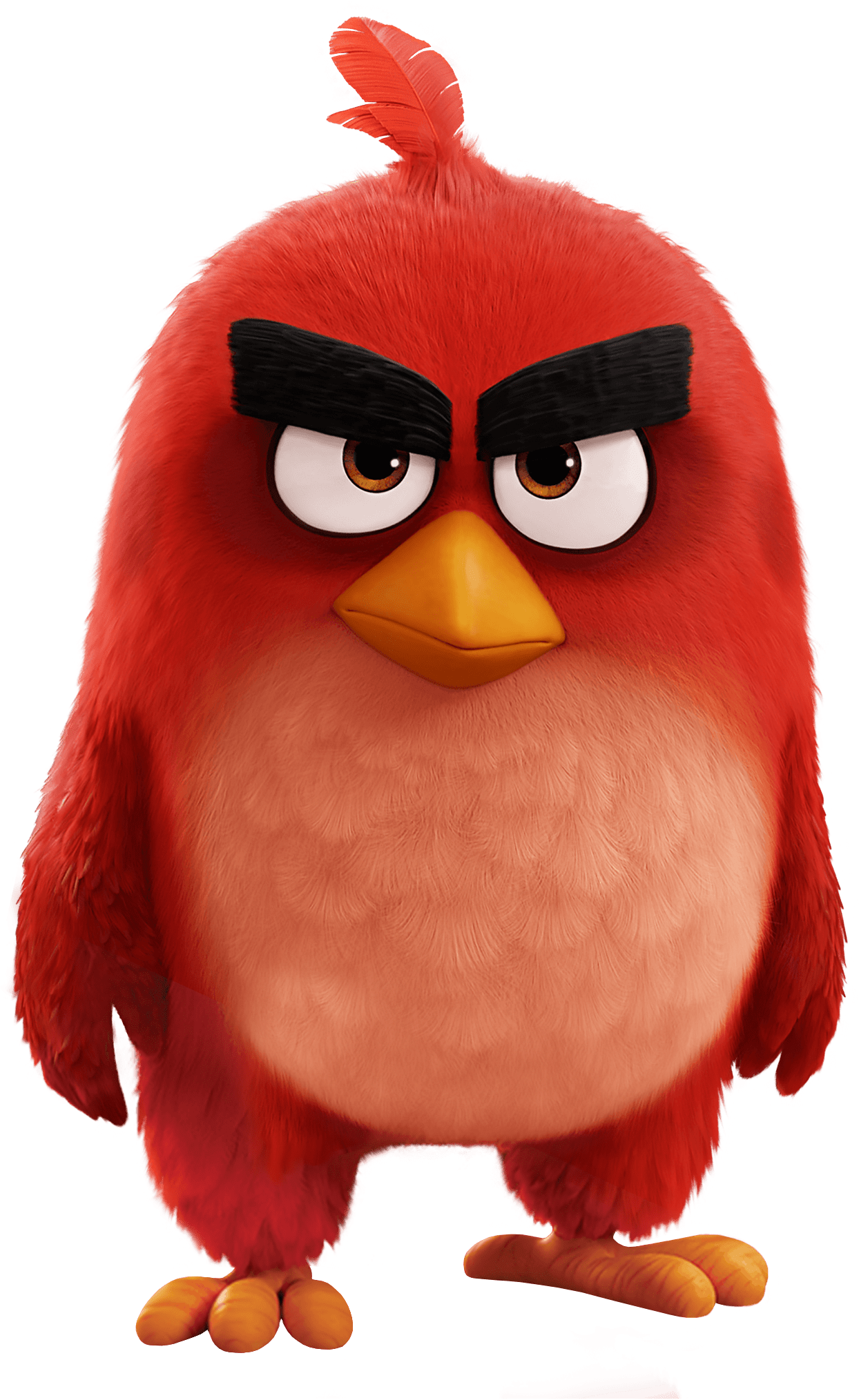 Angry Bird Movie Red Bird Clipart (1377x2068), Png Download