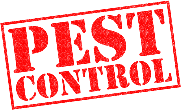 Home - Пест Контроль Clipart (800x565), Png Download