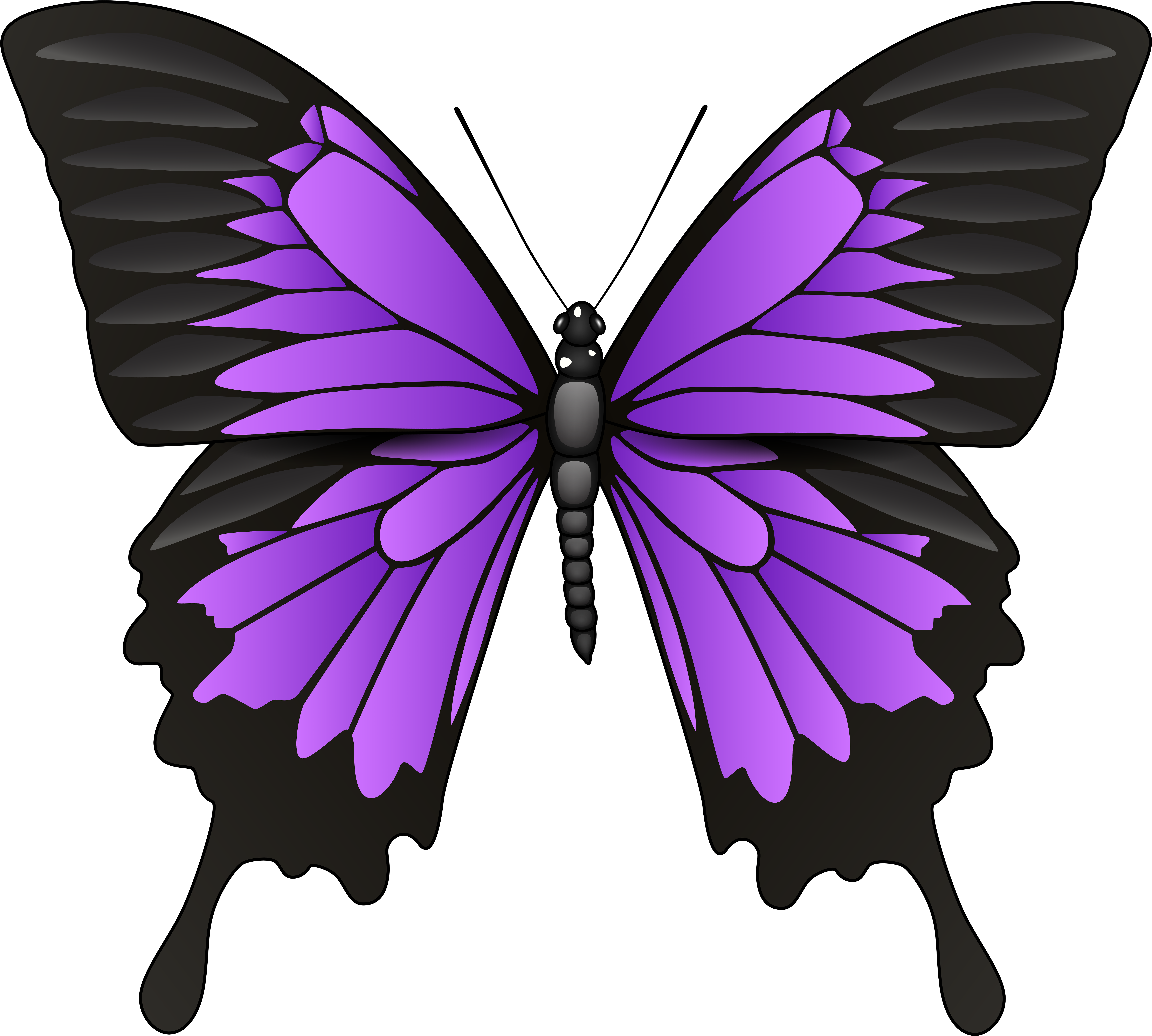 Svg Library Stock Butterfly Png Clipart Transparent Png (8000x7224), Png Download