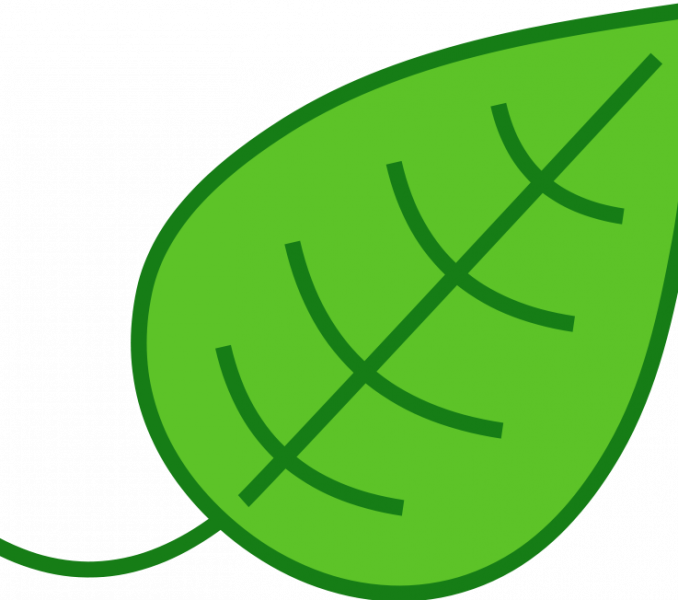 Leaf Images Clip Art Leaf Clip Art Free Clipart Panda - Leaf Clip Art - Png Download (678x600), Png Download