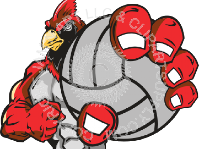 Cardinal Clipart Volleyball - Volleyball Cardinal Mascot Clipart - Png Download (640x480), Png Download