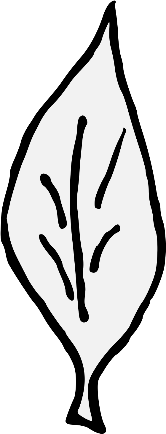 Laurel Clipart Curved Leave - Png Download (599x1499), Png Download