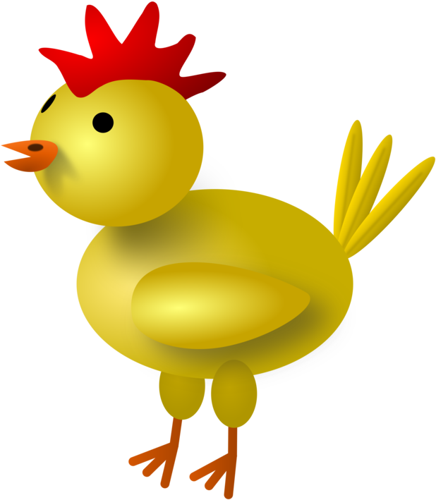 Yellow-hair Chicken Kifaranga Poultry Poussin Rooster - 3d Chicken Shower Curtain Clipart (660x750), Png Download