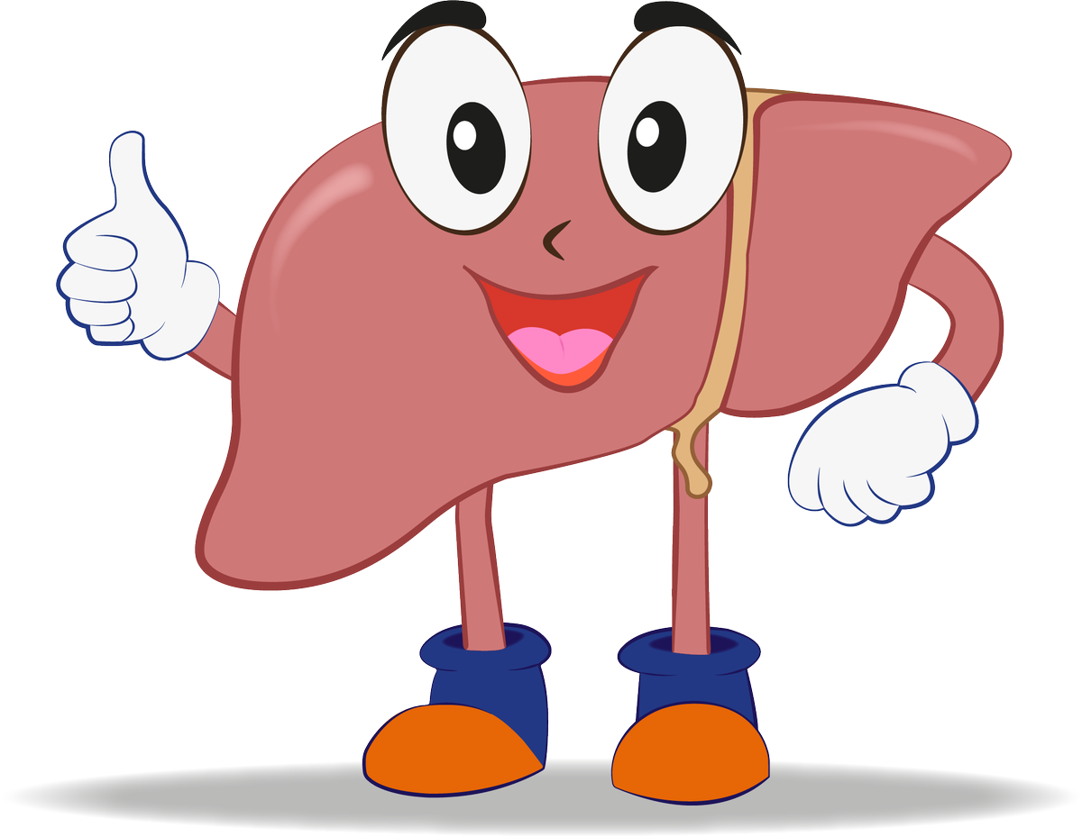 Image Gallery Thumbnail - Cartoon Clipart (1200x929), Png Download