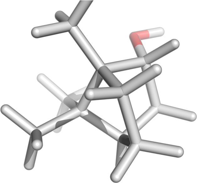 Isoborneol - Exercise Equipment Clipart (800x600), Png Download