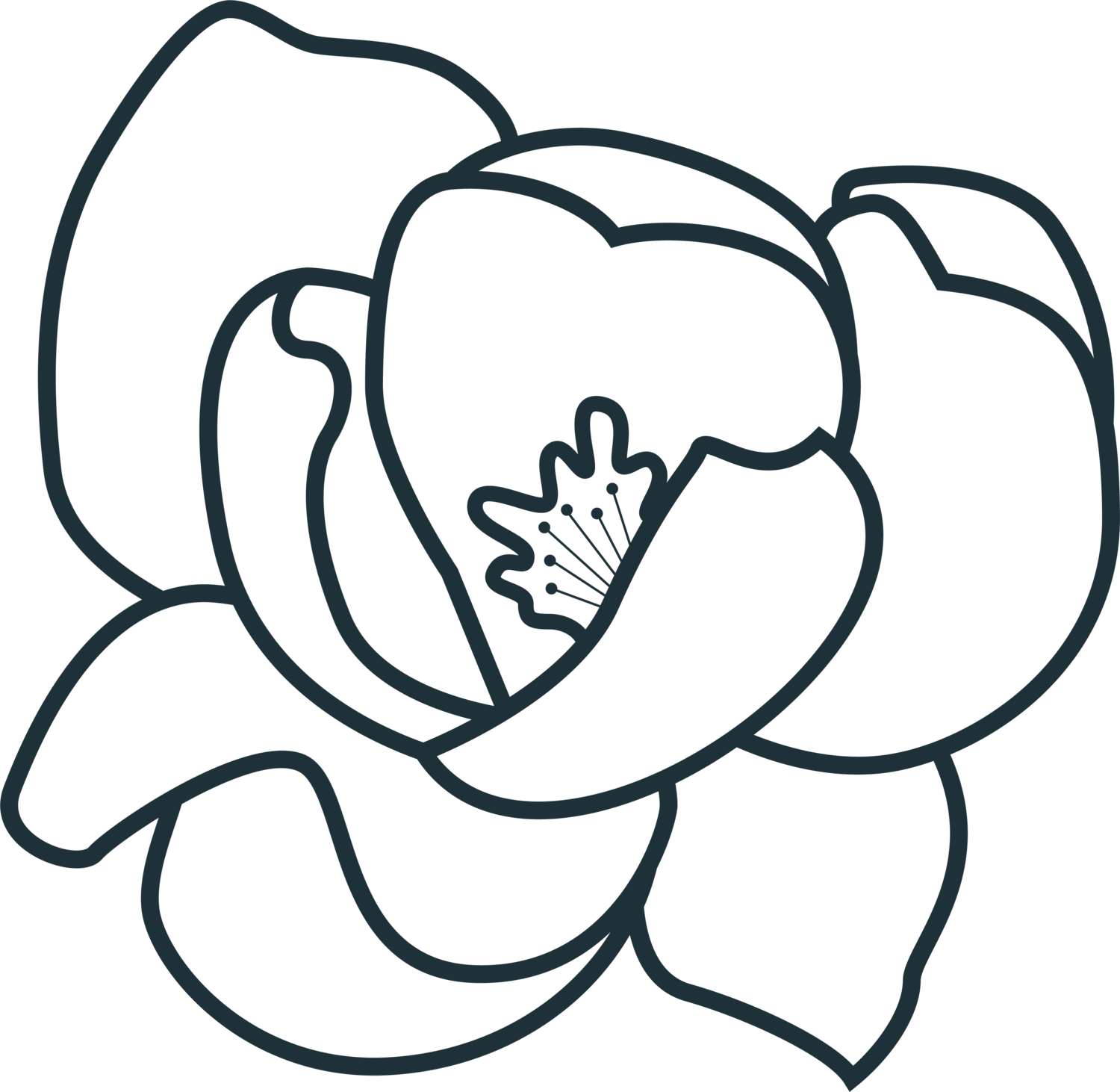 1500 X 1462 2 - Line Art Clipart (1500x1462), Png Download