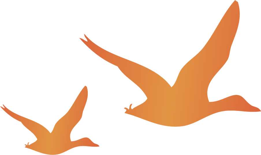 Flying Mallards, Small - Illustration Clipart (933x557), Png Download