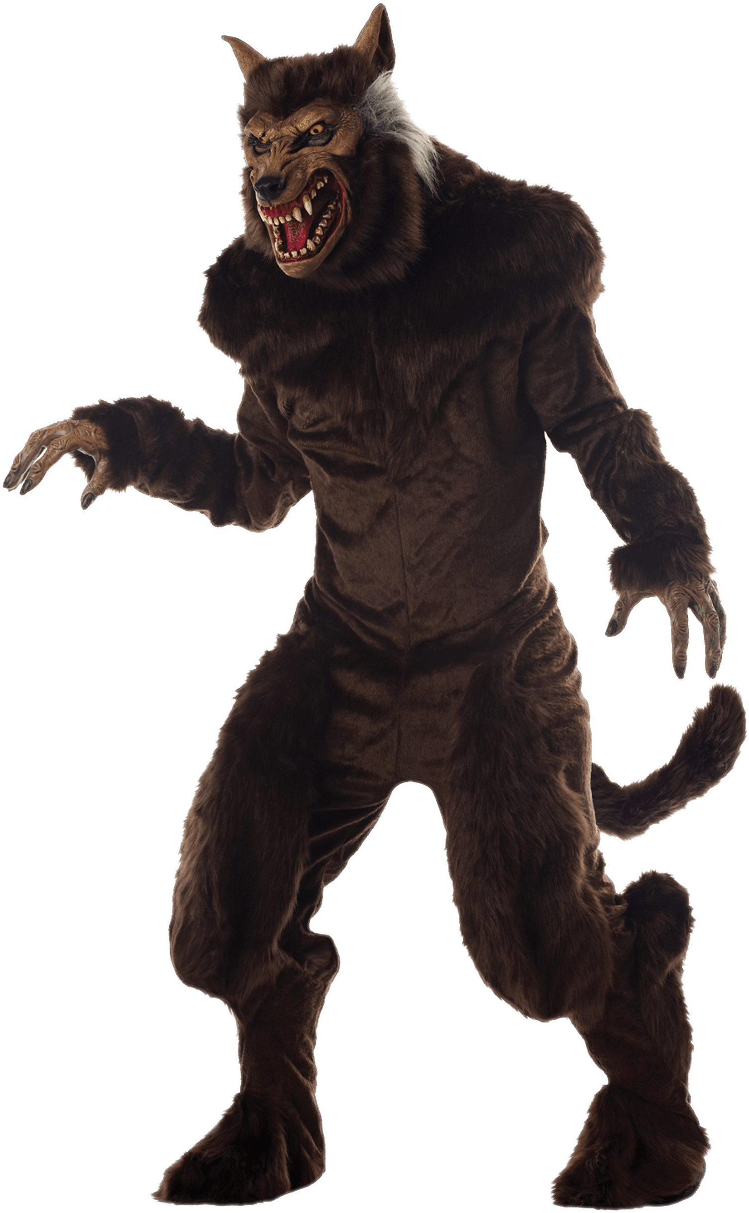 Download Werewolf Costume Transparent Png - Werewolf Costumes Clipart (1750x2500), Png Download