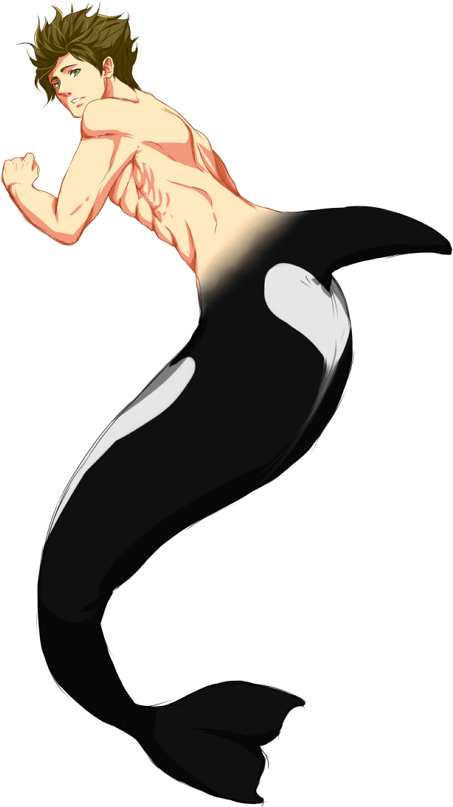 Niu's Musselbum Makoto Is The Best Bumbum Owner Transparent - Cartoon Clipart (500x831), Png Download