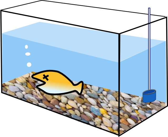 Does Aquarium Support Life Clipart (638x521), Png Download