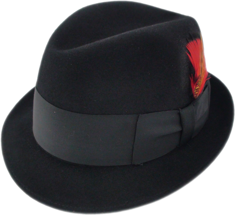 1200 X 900 6 - Fedora Clipart (1200x900), Png Download