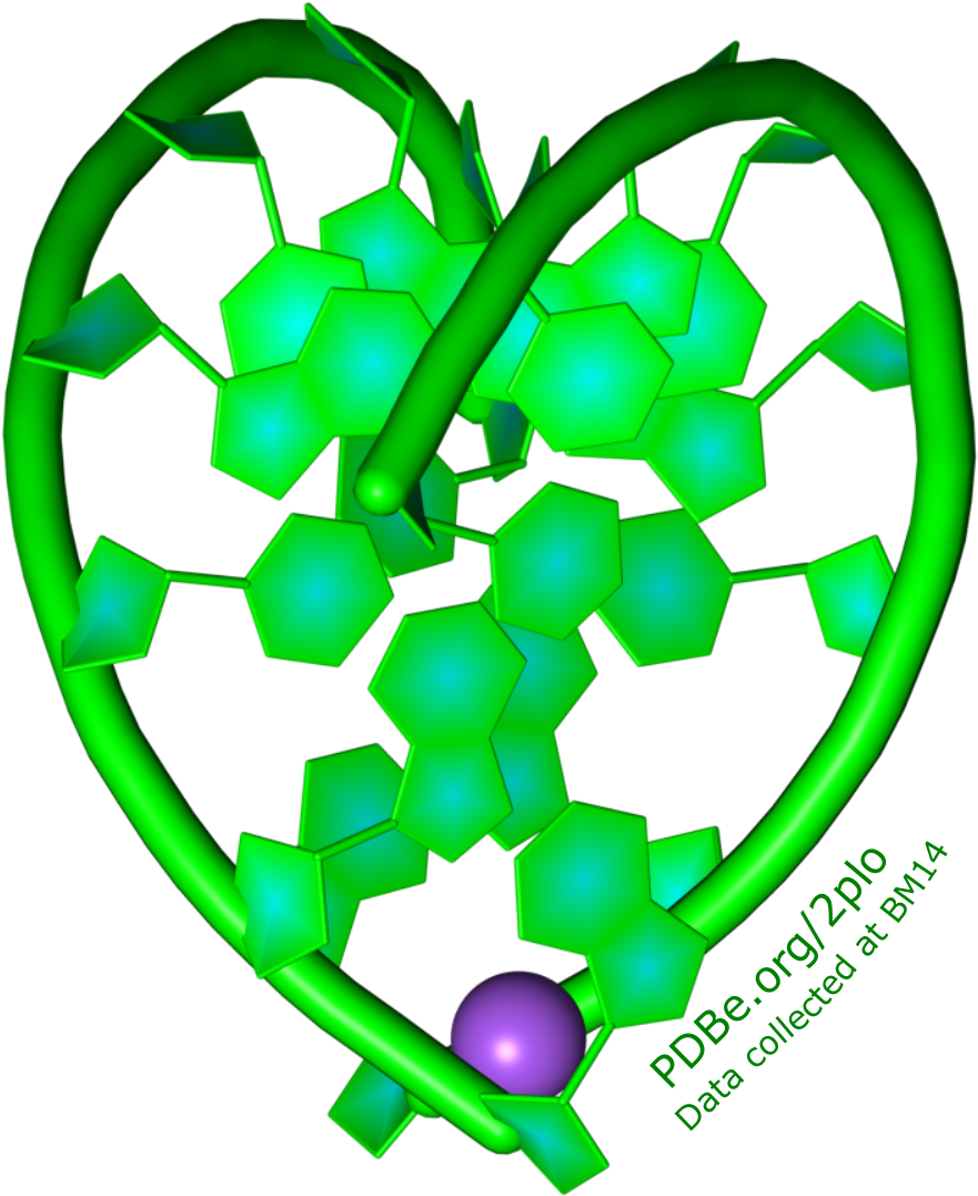 Protein Data Bank On Twitter Clipart (1163x1466), Png Download