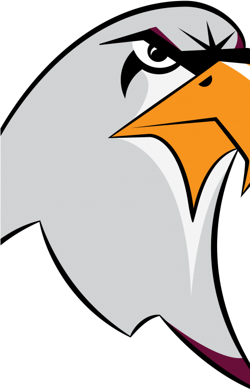 2 Eagle Mascot Just Head Sol Clipart (500x1000), Png Download