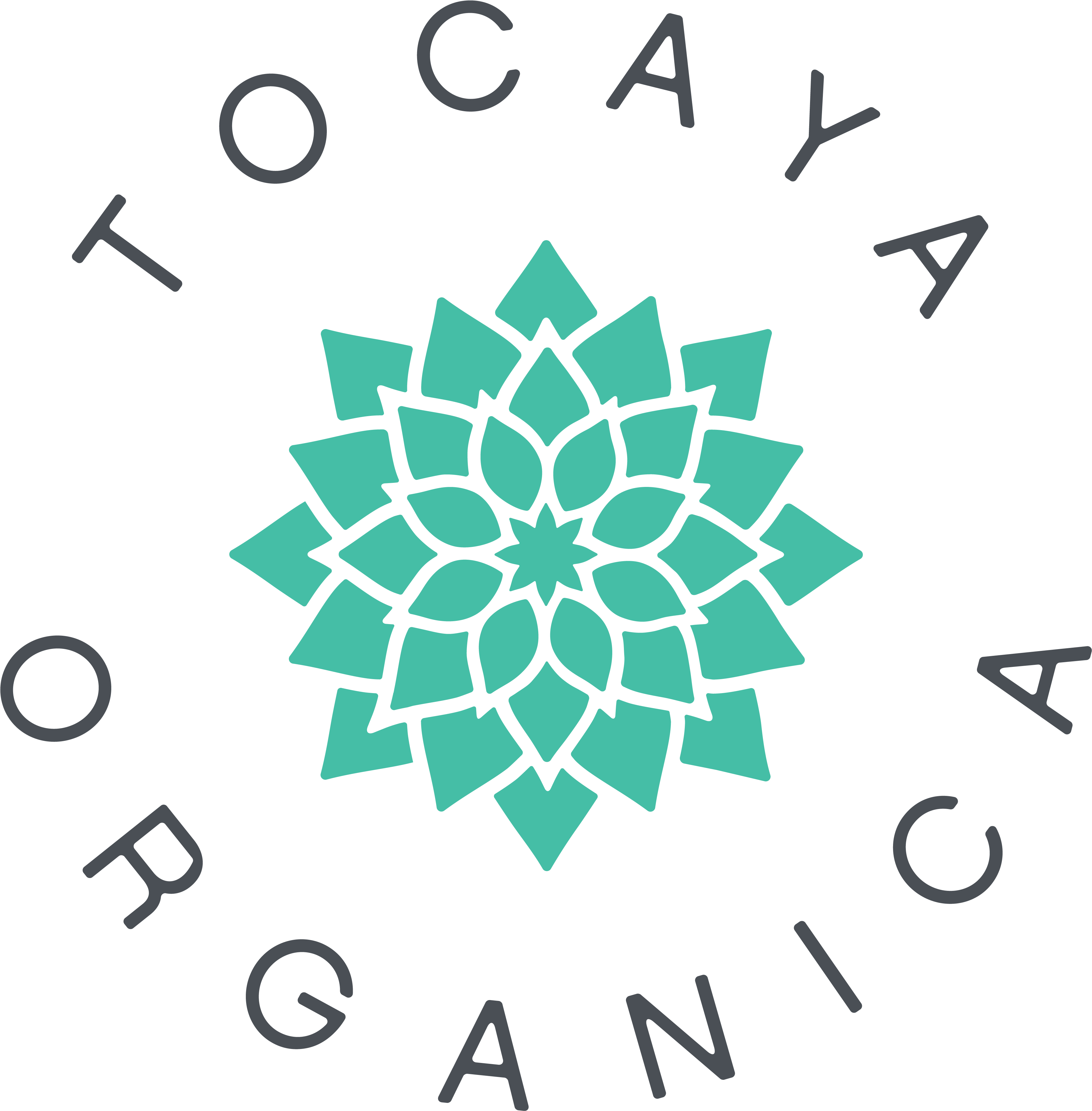 Dos Burritos Mexican Restaurant Delivery • Order Online - Tocaya Organica Logo Clipart (4350x4350), Png Download