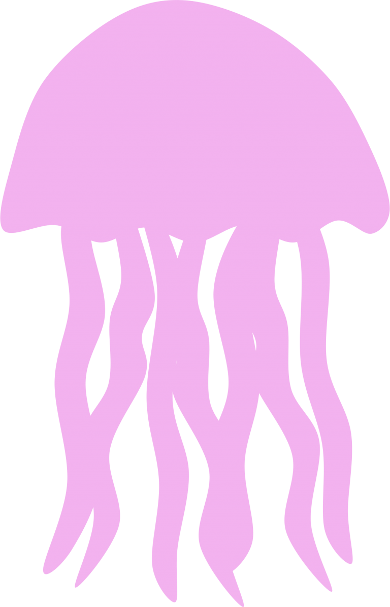 Download Png Picture Free Images Icons And Ⓒ - Jellyfish Png Clipart Transparent Png (768x1194), Png Download