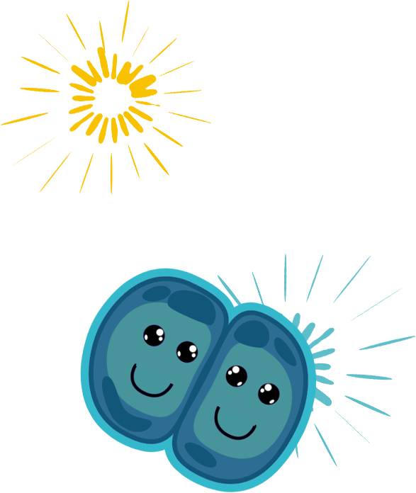 More Than 20 Unique, Interactive Floor Projection Games - Smiley Clipart (587x696), Png Download