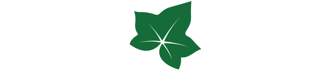 Why Us Our Differentiation Is Derived From Our Ecosystem Clipart (1172x306), Png Download