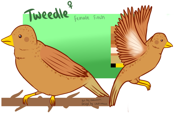 Picture - Duck Clipart (734x481), Png Download