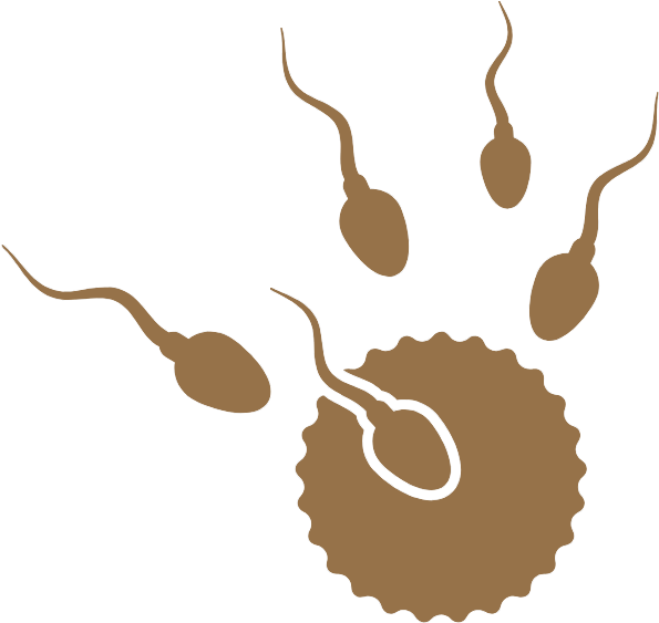 Donor Sperm - Raw Milk Made By Cow Clipart (709x692), Png Download
