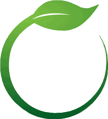 Green Leaf Png Picture - Illustration Clipart (800x600), Png Download
