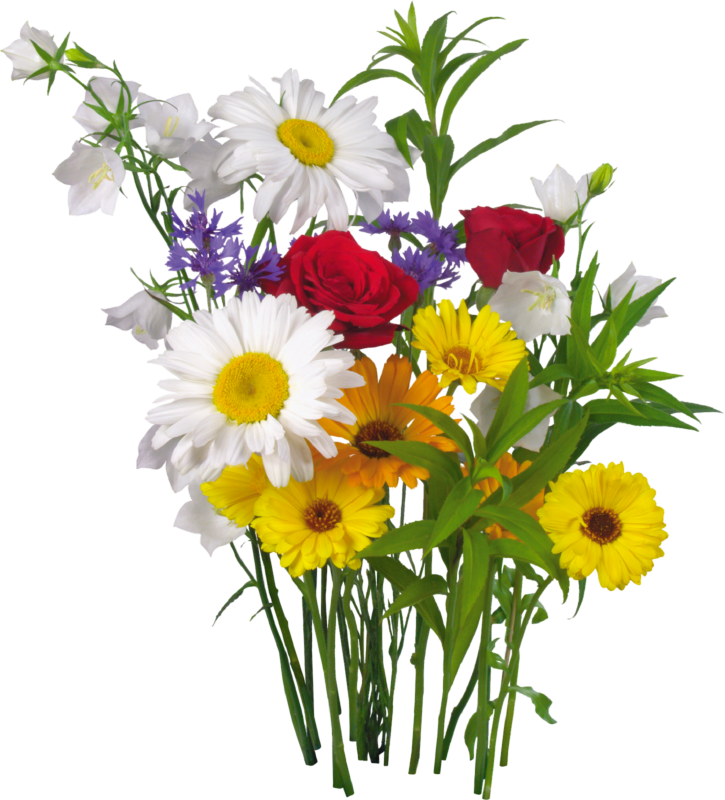 Colorful Flowers And Green Leaves Png Clipart Clipart - День Любви И Верности Transparent Png (725x800), Png Download